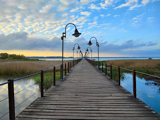 Muelle Villa Soriano