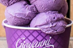 Giovanni Helados Artesanales