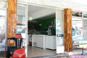 Heladería Artesanal “Solymar”