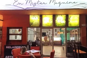 Heladería Cafeteria Artesanal (Mister Máquina)