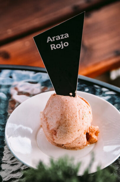 heladeria calvelini 3