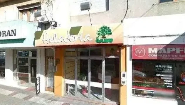 heladeria el ombu 2