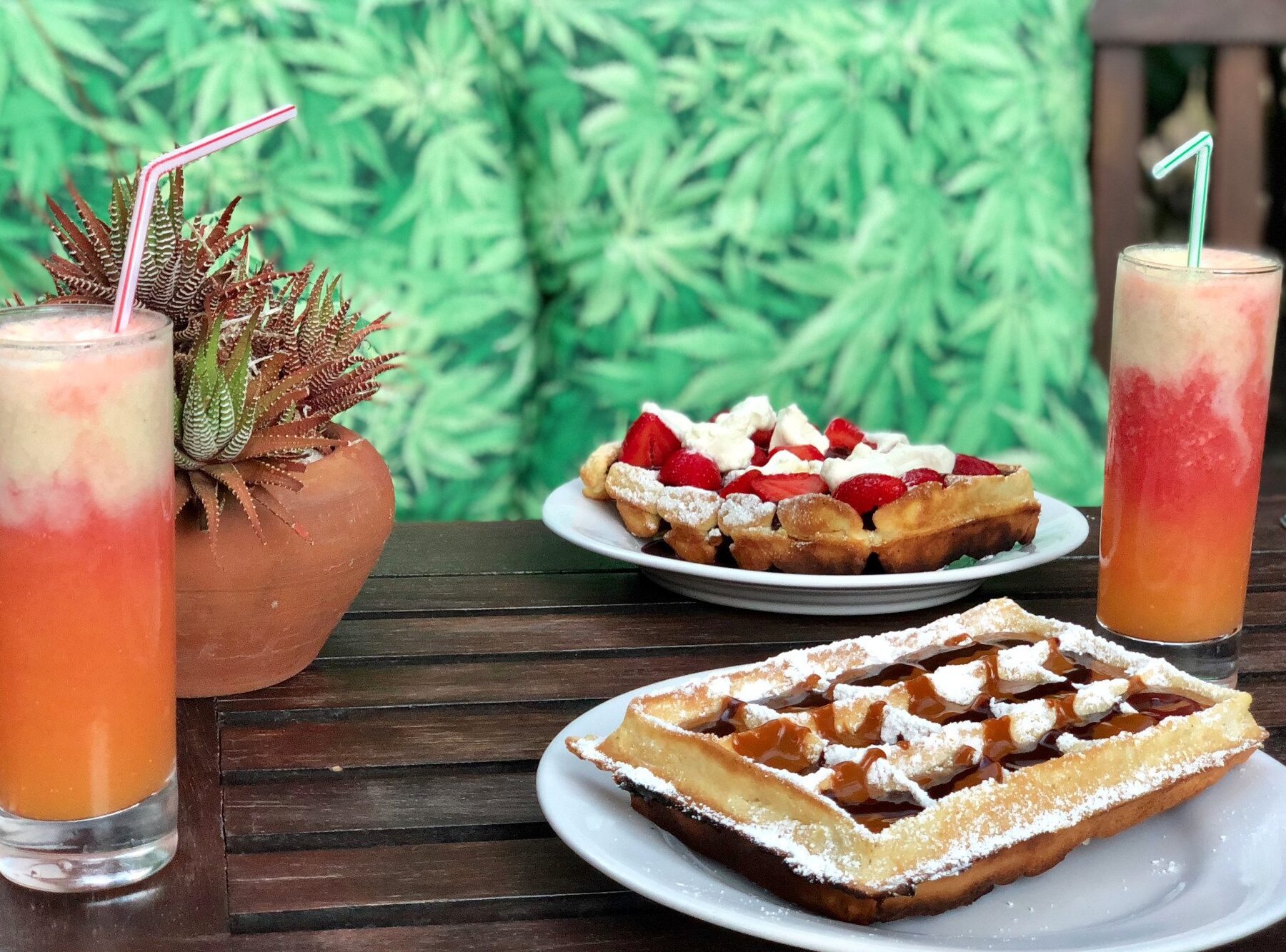 heladerias en maldonado uruguay las mejores opciones para disfrutar de postres refrescantes